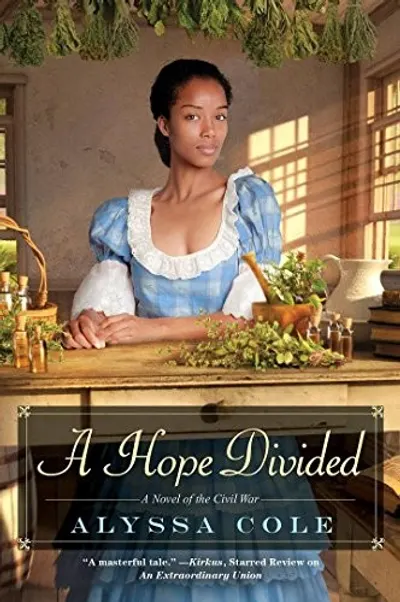 A Hope Divided by Alyssa Cole, book cover