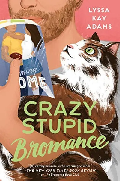 Crazy Stupid Bromance by Lyssa Kay Adams, book cover
