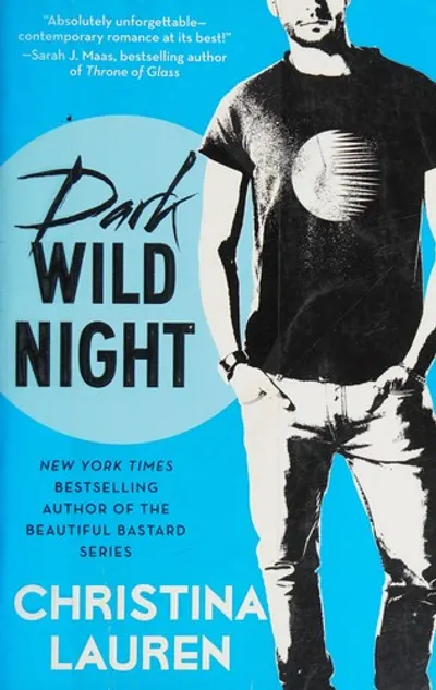 Dark Wild Night by Christina Lauren, book cover