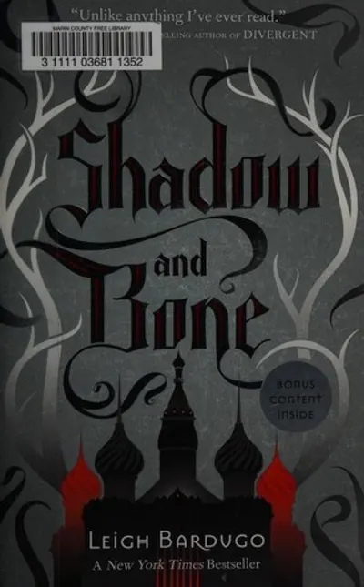 Shadow and Bone by Leigh Bardugo, book cover